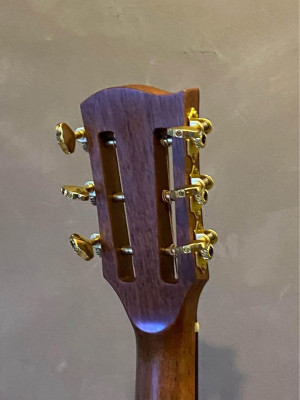 Elegee Acoustic Guitars *Brand New*