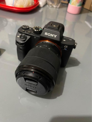 Sony a7sii with FE 28-70mm