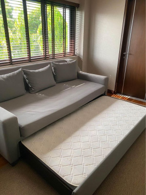 Day Bed with Pull Out Bed