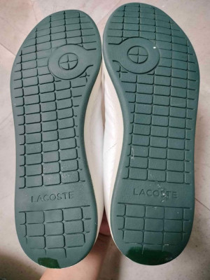 Lacoste  Shoes