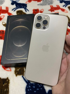 iPhone 12 pro(not max)