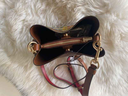 Coach Mini Mollie Bucket Bag with Coach Cardholder LP