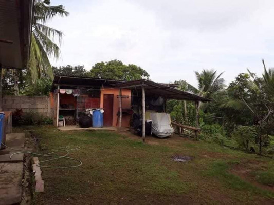 HOUSE & LOT WITH PIGGERY FOR SALE‼️