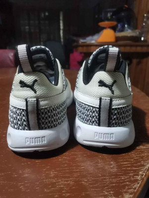 puma