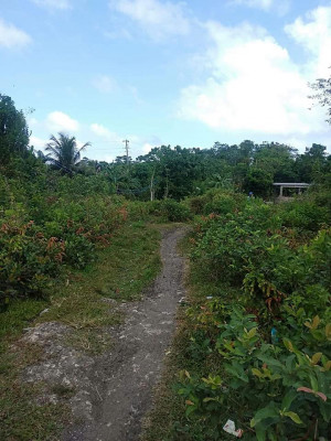 Guimaras property