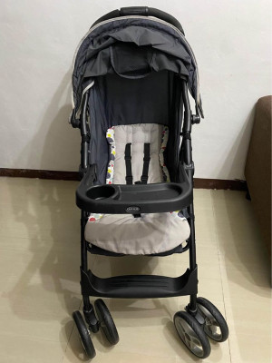 Stroller with car seat