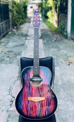 Acoustic Guitar With Pickup