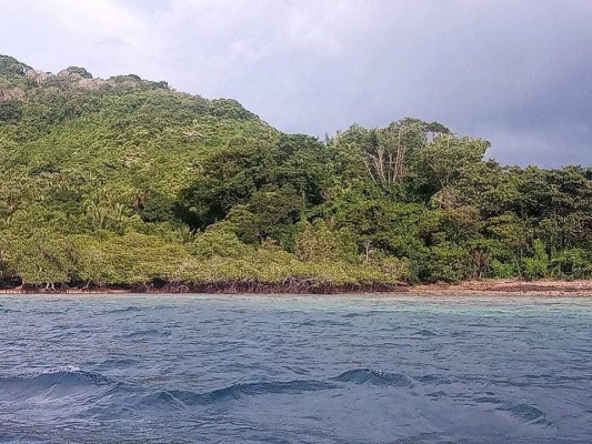 Island property for sale