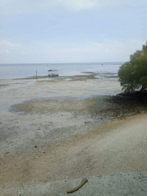 Beachfront resort with swimming pool and cottages