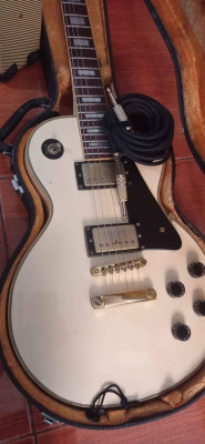 Guitar w/ hardcase & amplifier