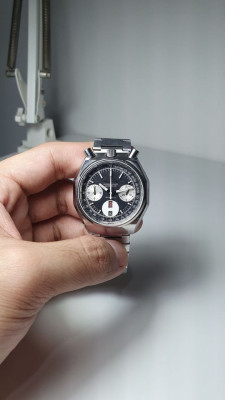 Rare Citizen Bullhead Panda 67-9356