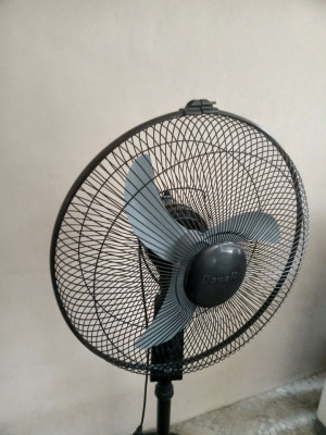 Stand Fan (Dowell)