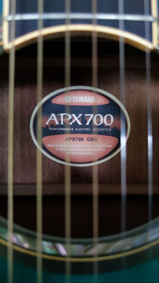 Yamaha APX 700