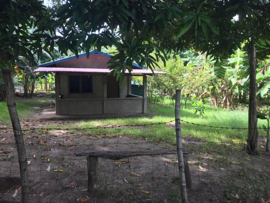 FARM WITH BUNGALOW HOUSE