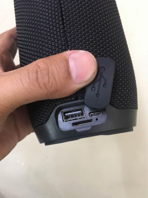 original proton USA tsw wireless speaker