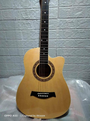 Brand New Arena Guitar