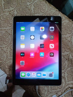 iPad Air (WiFi + Cellular) / 32GB