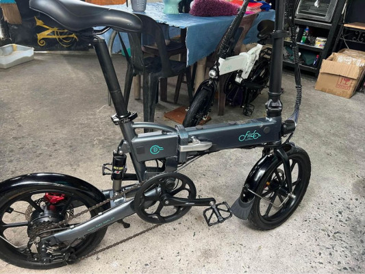 Fiido D2s electric folding bike