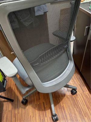 Ergonomic Euro Office Chair