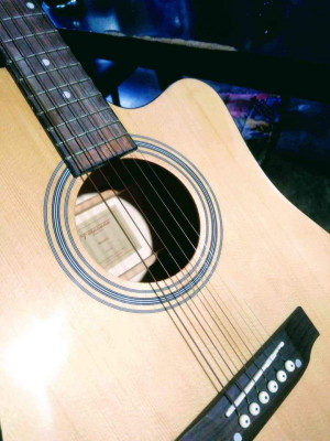 Guitar