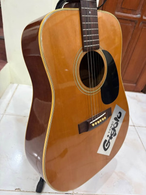 Morris W-18 Acoustic Guitar (Dreadnought)