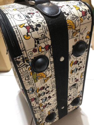 Handcarry Luggage (Mickey Mouse)