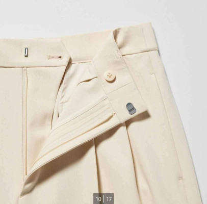 Uniqlo Pleated Wide Pants