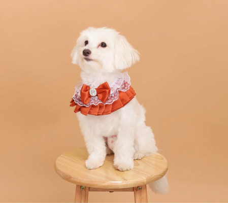 Bandanas for pets Pet Clothing Dog Bandana Cat Bandana