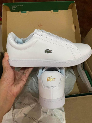 Lacoste Women's Sneaker