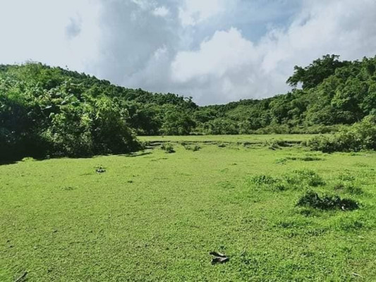 Lot for sale with falls and sapa