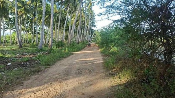 Beach Front Lot - Aborlan, Palawan