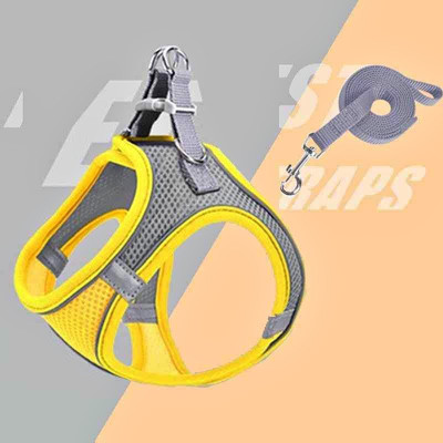 Pet Leash And Harness