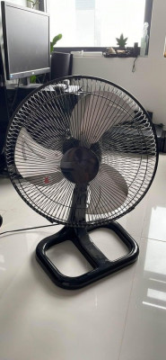 Electric fan