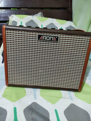 Aroma portable dual amplifier for acoustic guitar and vocals