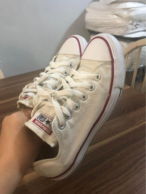 converse ( 24.5 CM)