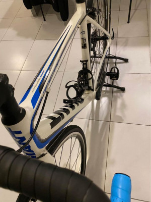 Giant TCR SL