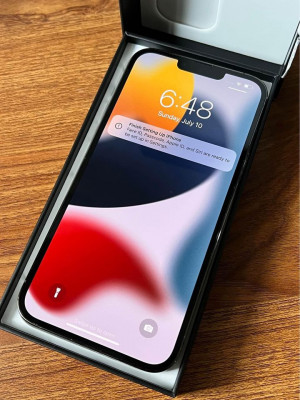 Iphone 13 PRO Max 1TB (Graphite)