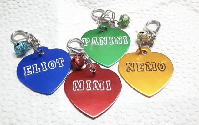 Pet ID Tag Personalized