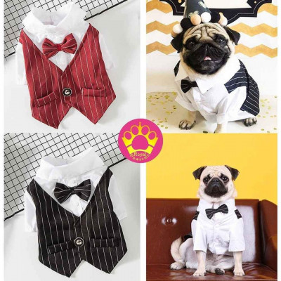 Pet Clothes For Dog's and Cat's