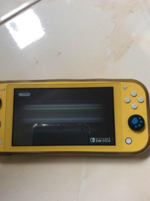 Nintendo switch lite and pouch case