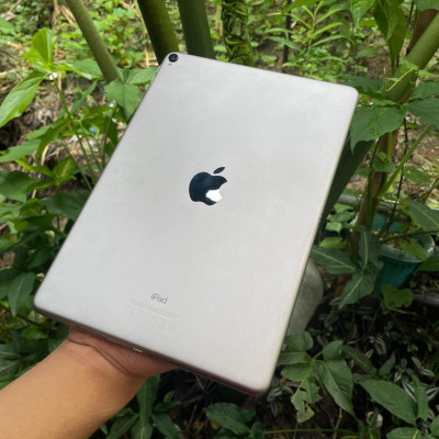 iPad Pro 10.5 WiFi
