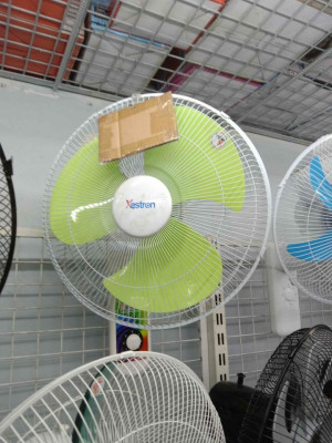 Electric Fan For Sale
