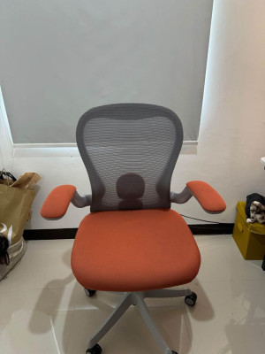 Ergonomic Chair