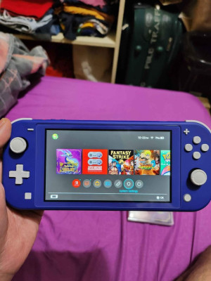 Nintendo Switch Lite