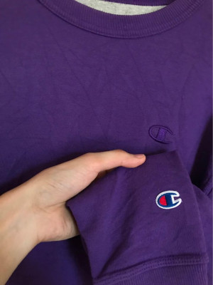 Champion Sweatshirt