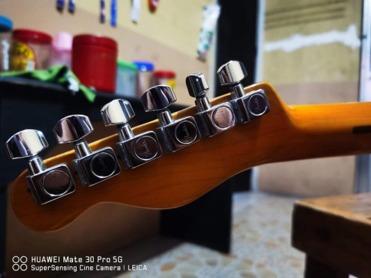 Fs/Ft Bacchus Japan Telecaster