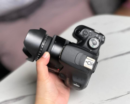 Canon 1200D with 50mm 1.8 Prime Portrait lens 18MP