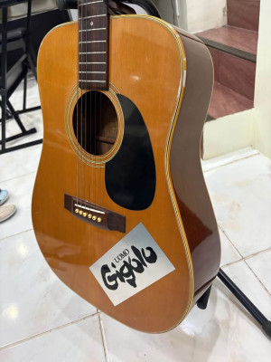 Morris W-18 Acoustic Guitar (Dreadnought)