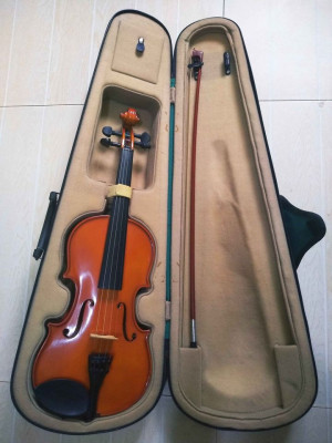 Violin