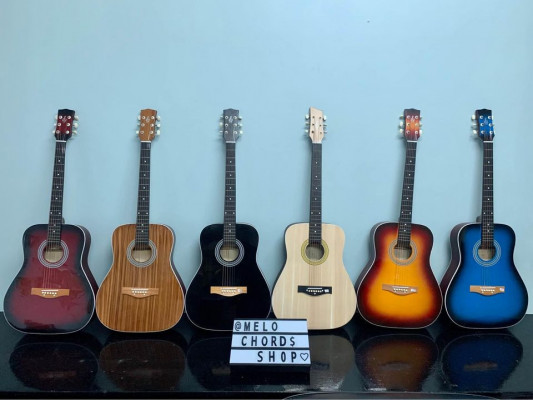 Acoustic Guitars